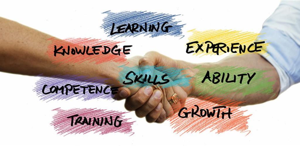 How to be a professional in anything you do?